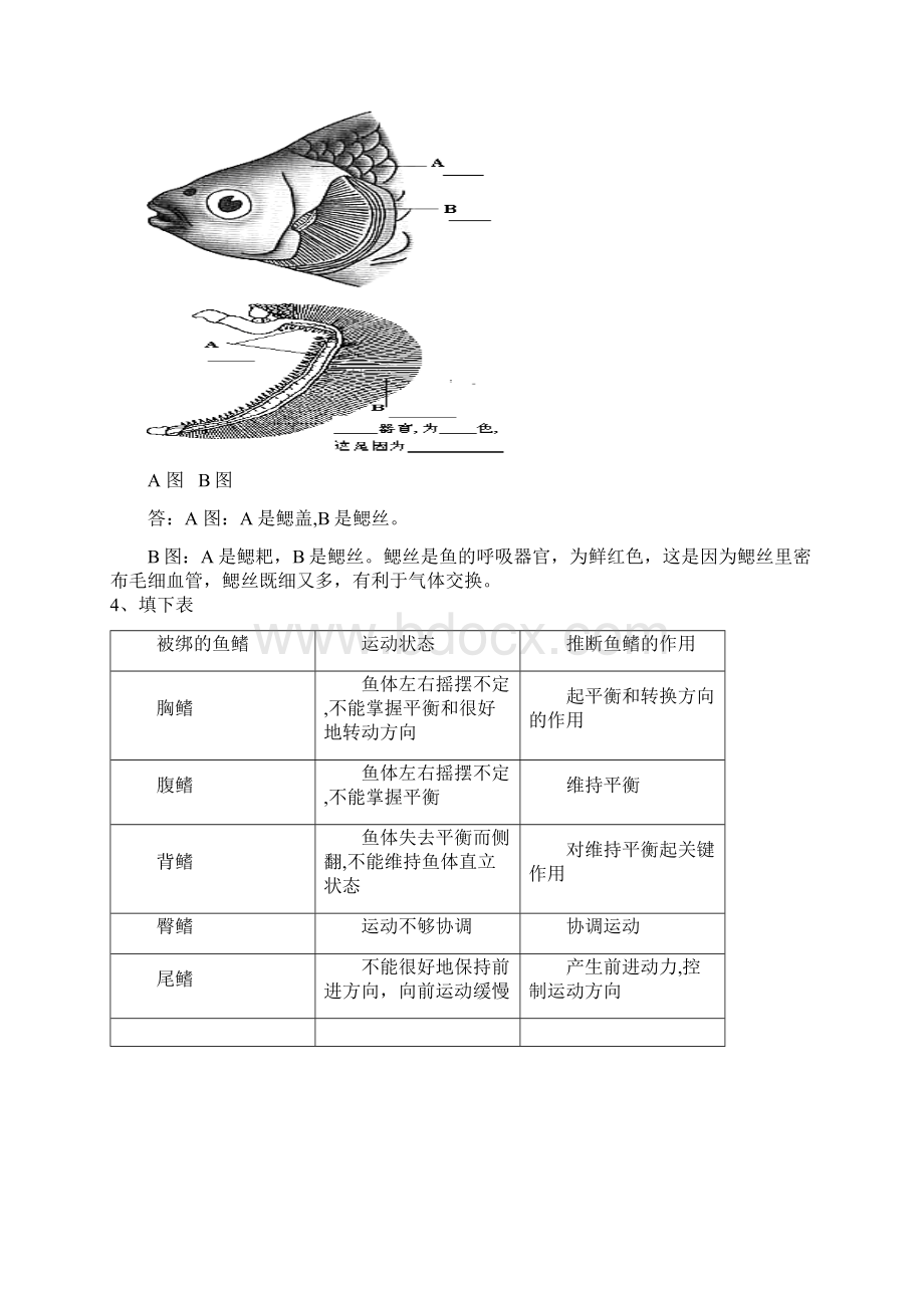 初中生物中考八上考点图总复习有详细答案.docx_第2页