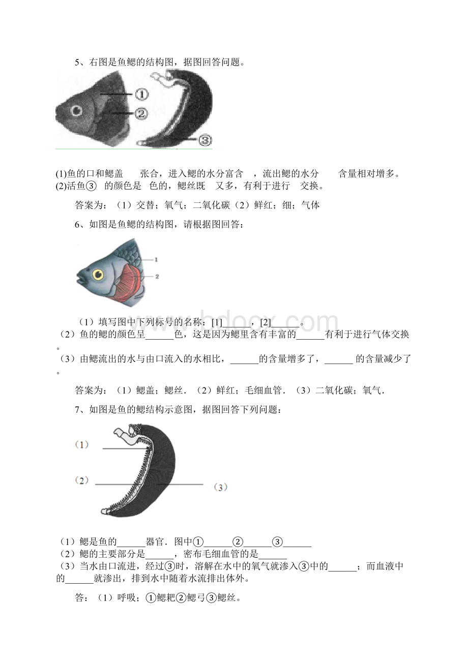 初中生物中考八上考点图总复习有详细答案.docx_第3页