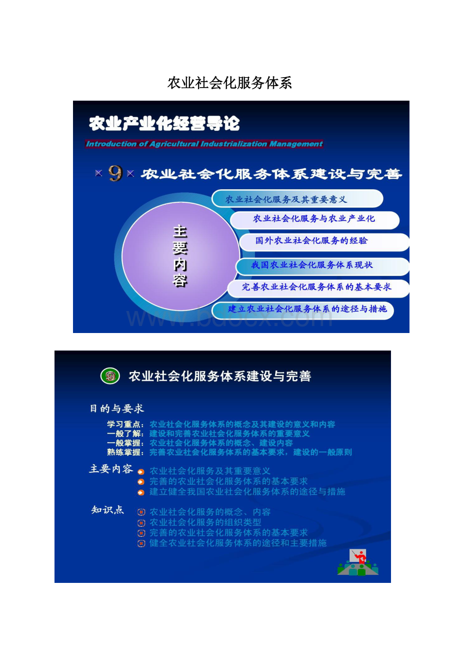 农业社会化服务体系Word文件下载.docx