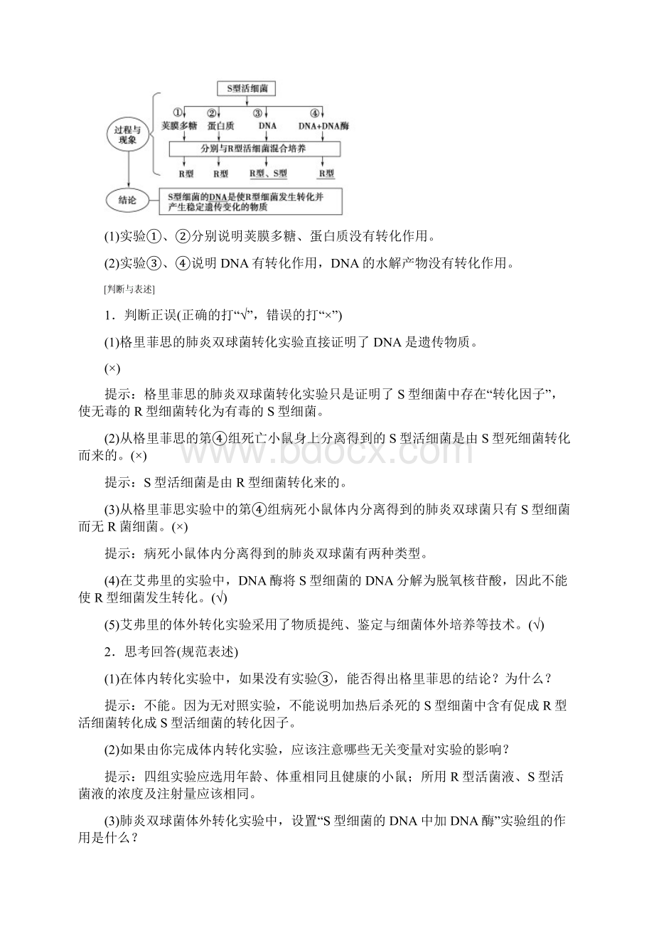 新人教版高考一轮复习第6单元第1讲DNA是主要的遗传物质教学案生物.docx_第2页