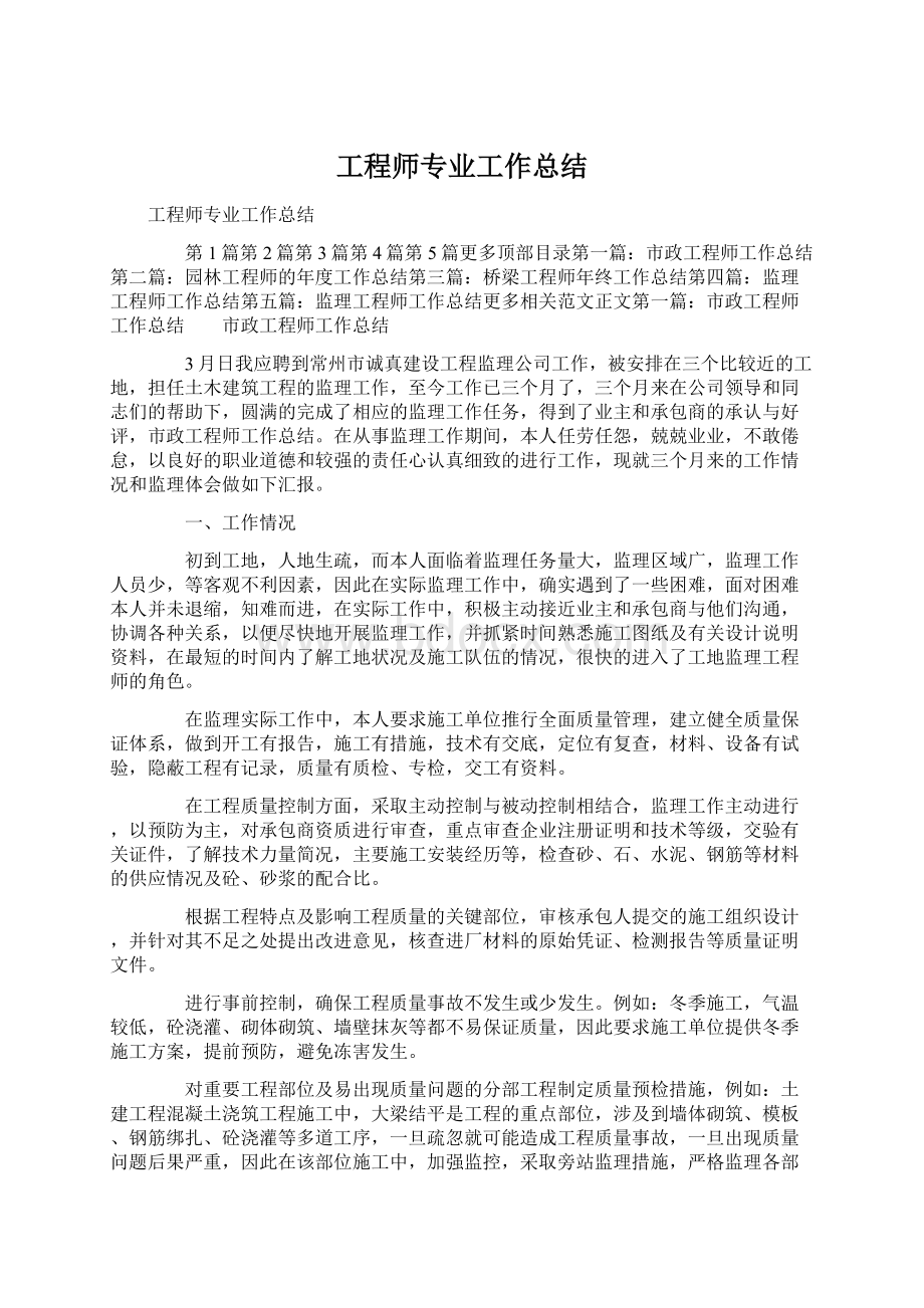 工程师专业工作总结Word文档格式.docx