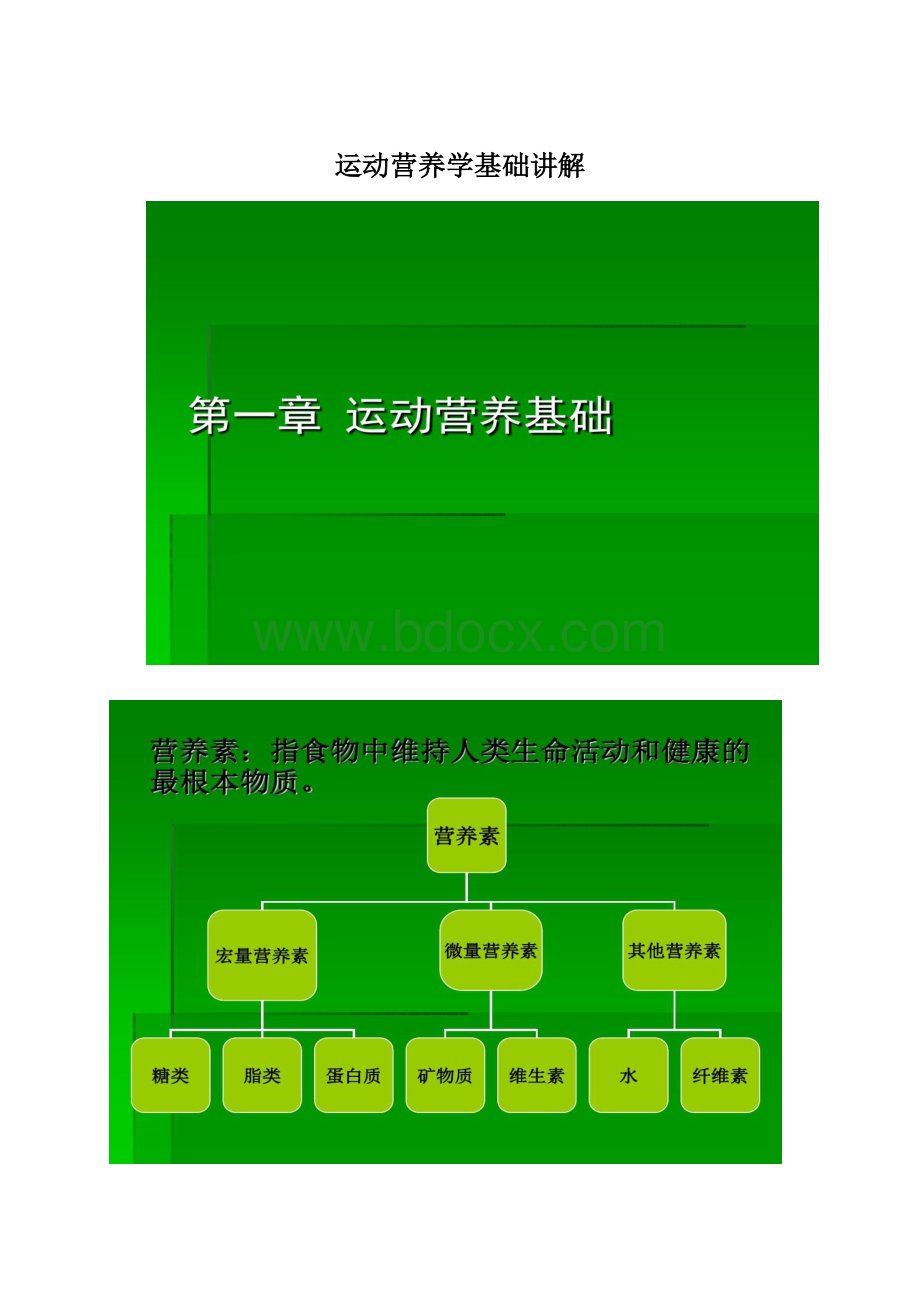 运动营养学基础讲解.docx