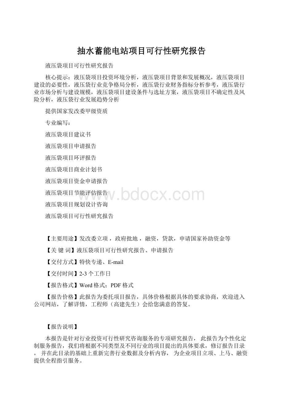 抽水蓄能电站项目可行性研究报告Word格式.docx