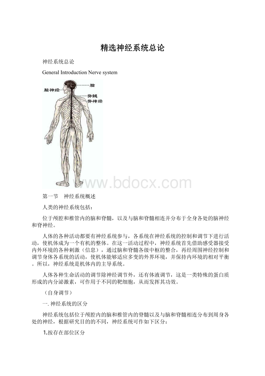 精选神经系统总论.docx_第1页