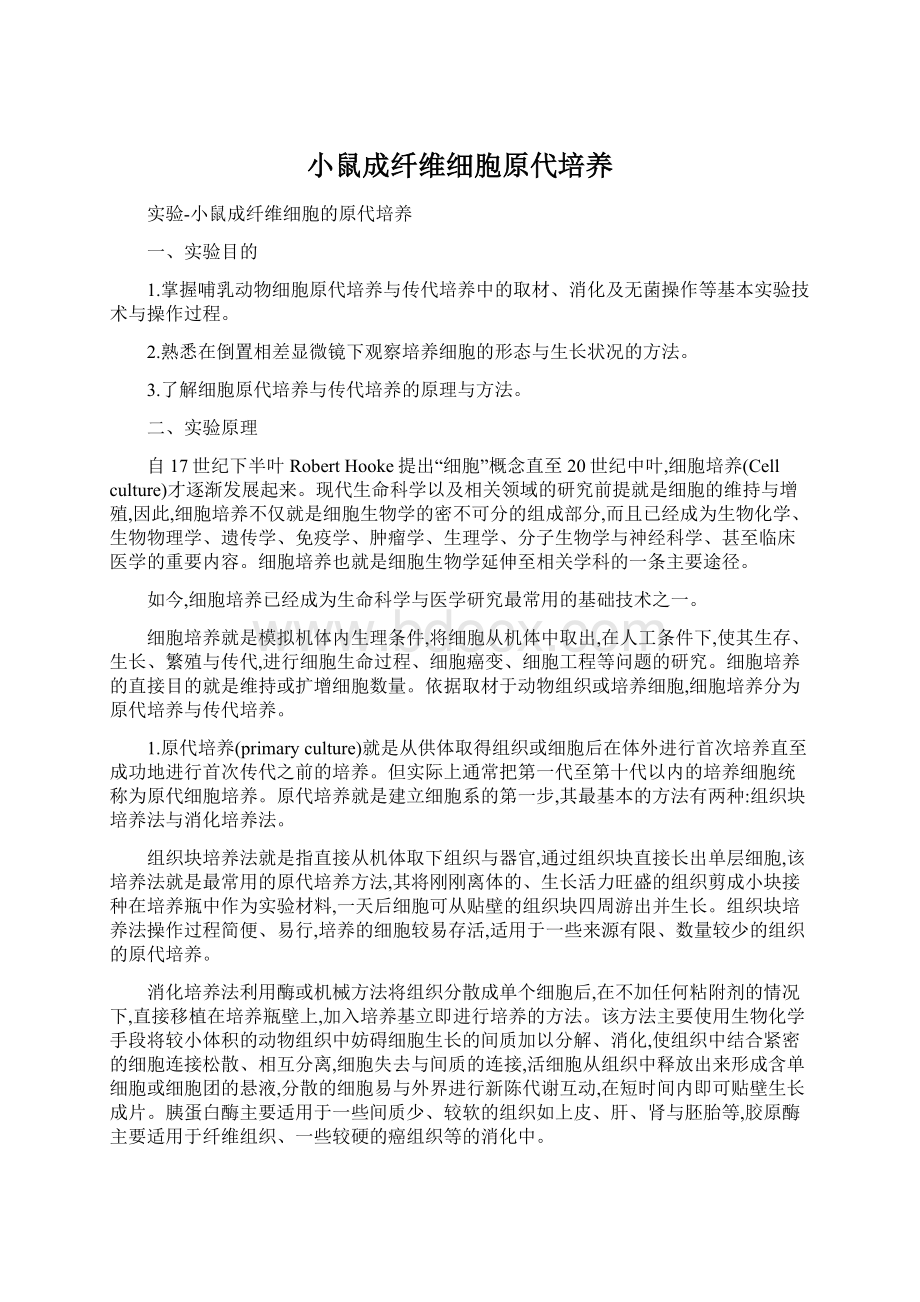 小鼠成纤维细胞原代培养Word格式文档下载.docx_第1页