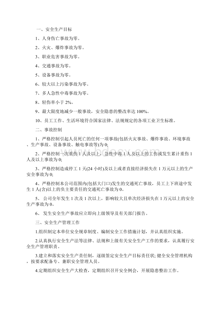 主体责任年计划.docx_第2页