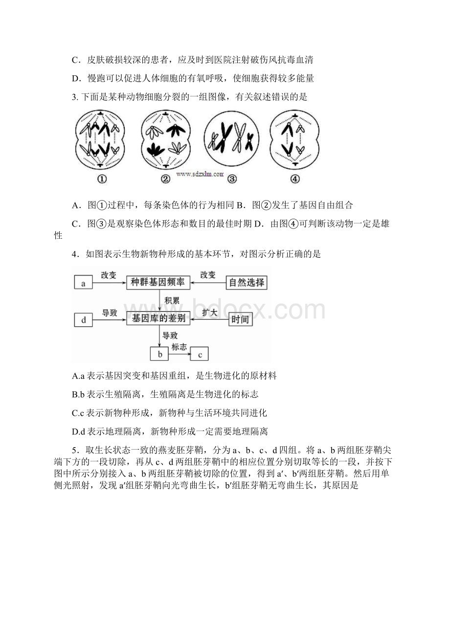 广饶一中届第一学期高三期末考试题 理综BWord文档下载推荐.docx_第2页