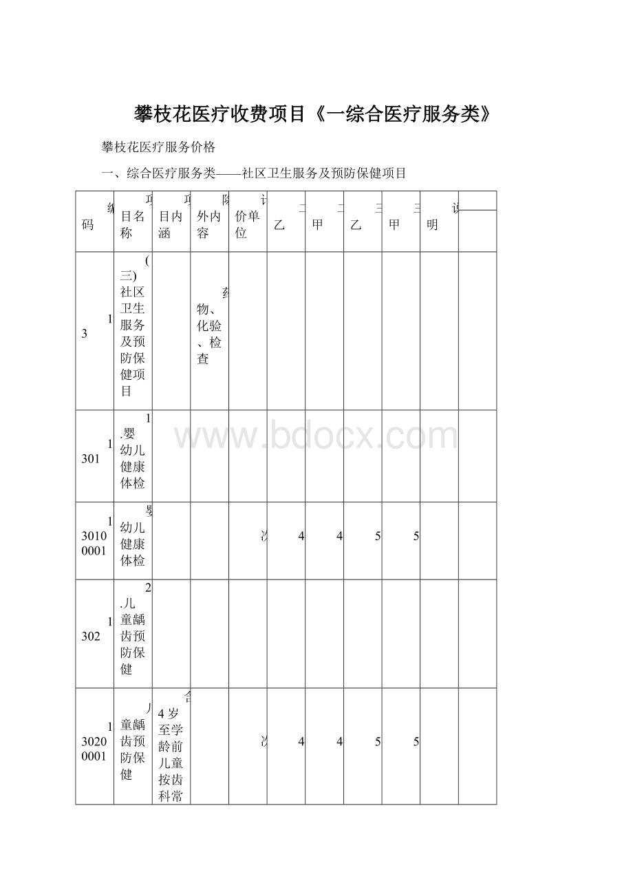 攀枝花医疗收费项目《一综合医疗服务类》.docx