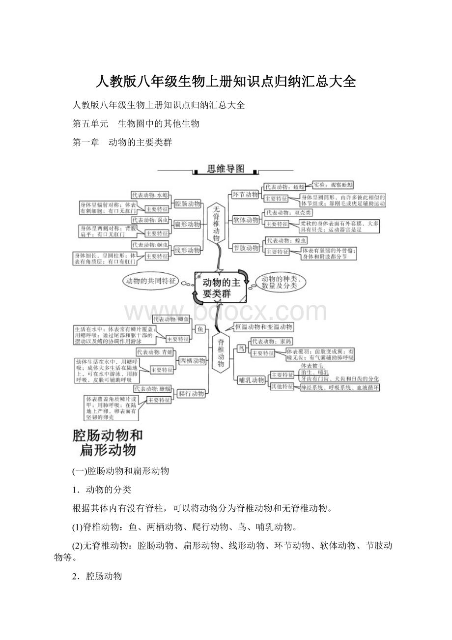 人教版八年级生物上册知识点归纳汇总大全Word下载.docx