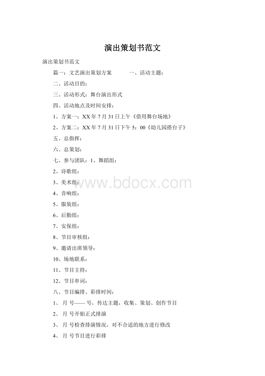 演出策划书范文文档格式.docx_第1页