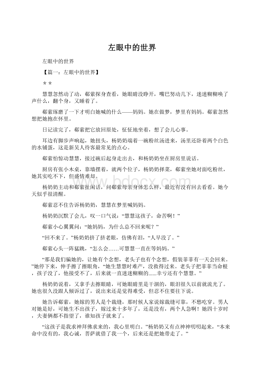 左眼中的世界Word文档格式.docx_第1页