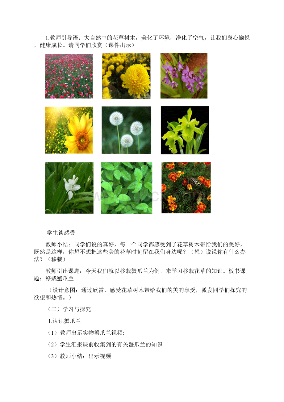 小学综合实践活动《植物栽培》优秀教案.docx_第3页