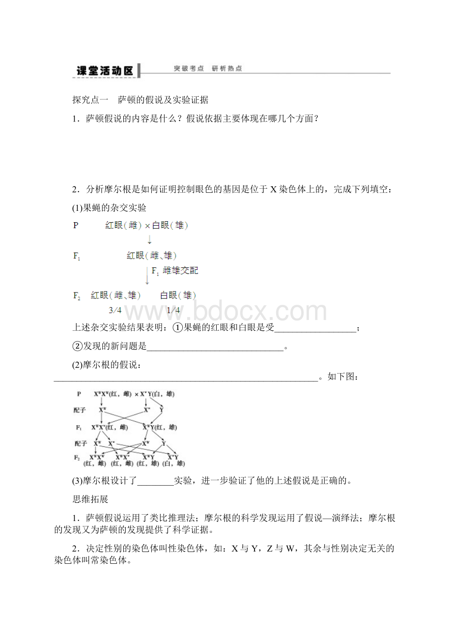 高三生物大一轮复习第五单元学案21基因在染色体上和伴性遗传.docx_第3页