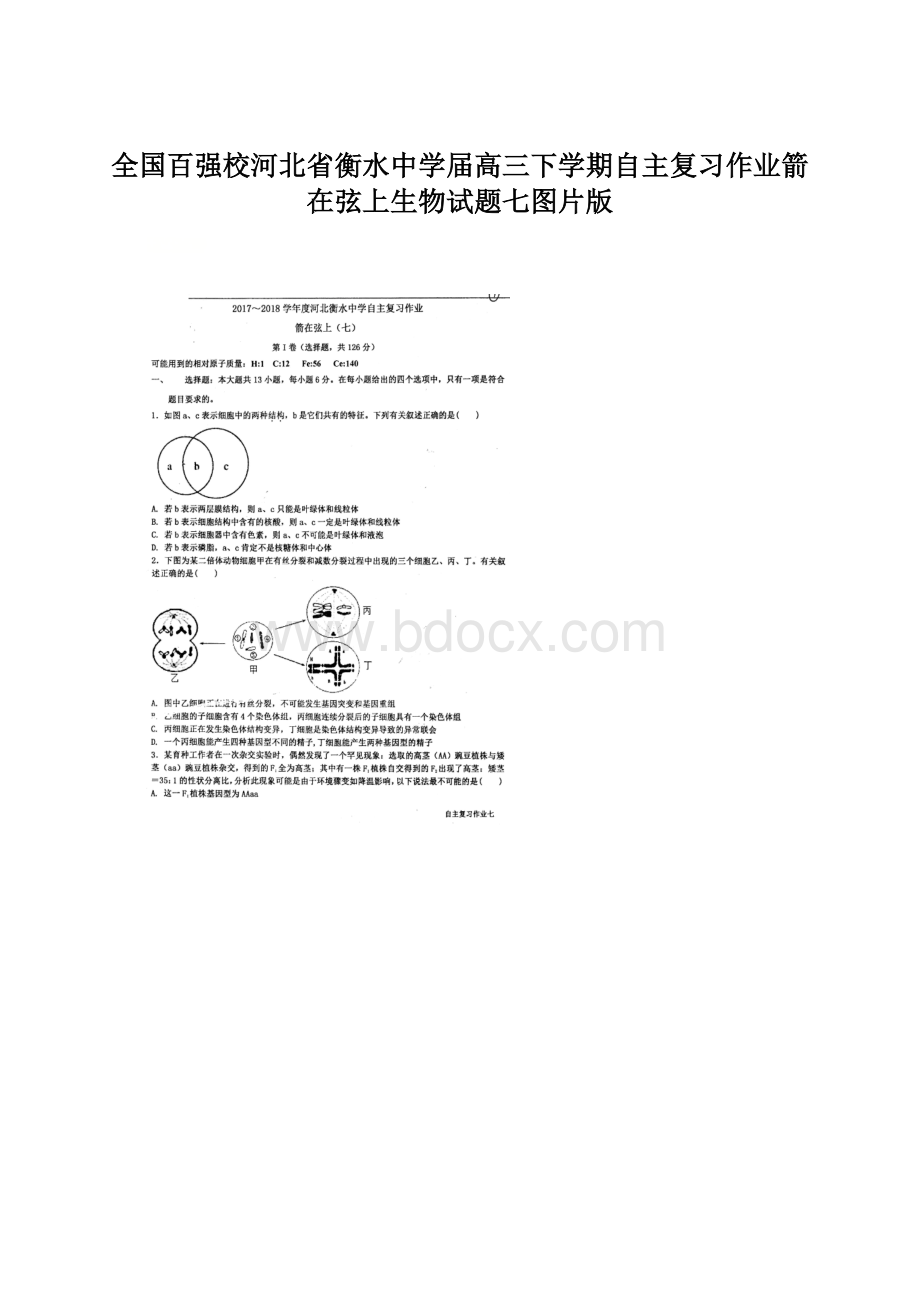 全国百强校河北省衡水中学届高三下学期自主复习作业箭在弦上生物试题七图片版Word文档格式.docx