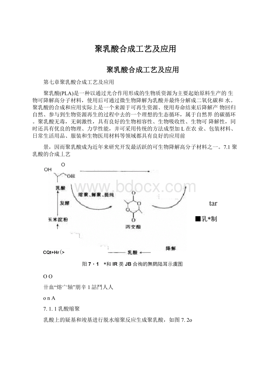 聚乳酸合成工艺及应用Word格式文档下载.docx