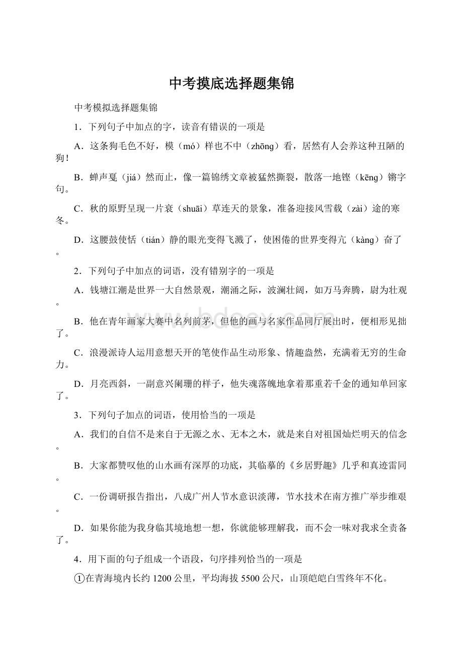 中考摸底选择题集锦Word格式.docx