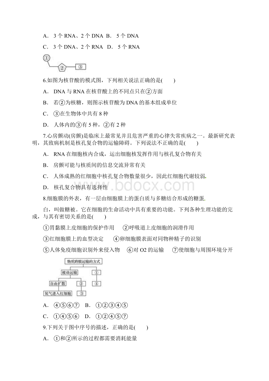 河南省安阳市林虑中学学年高二生物下学期开学考试试题.docx_第2页