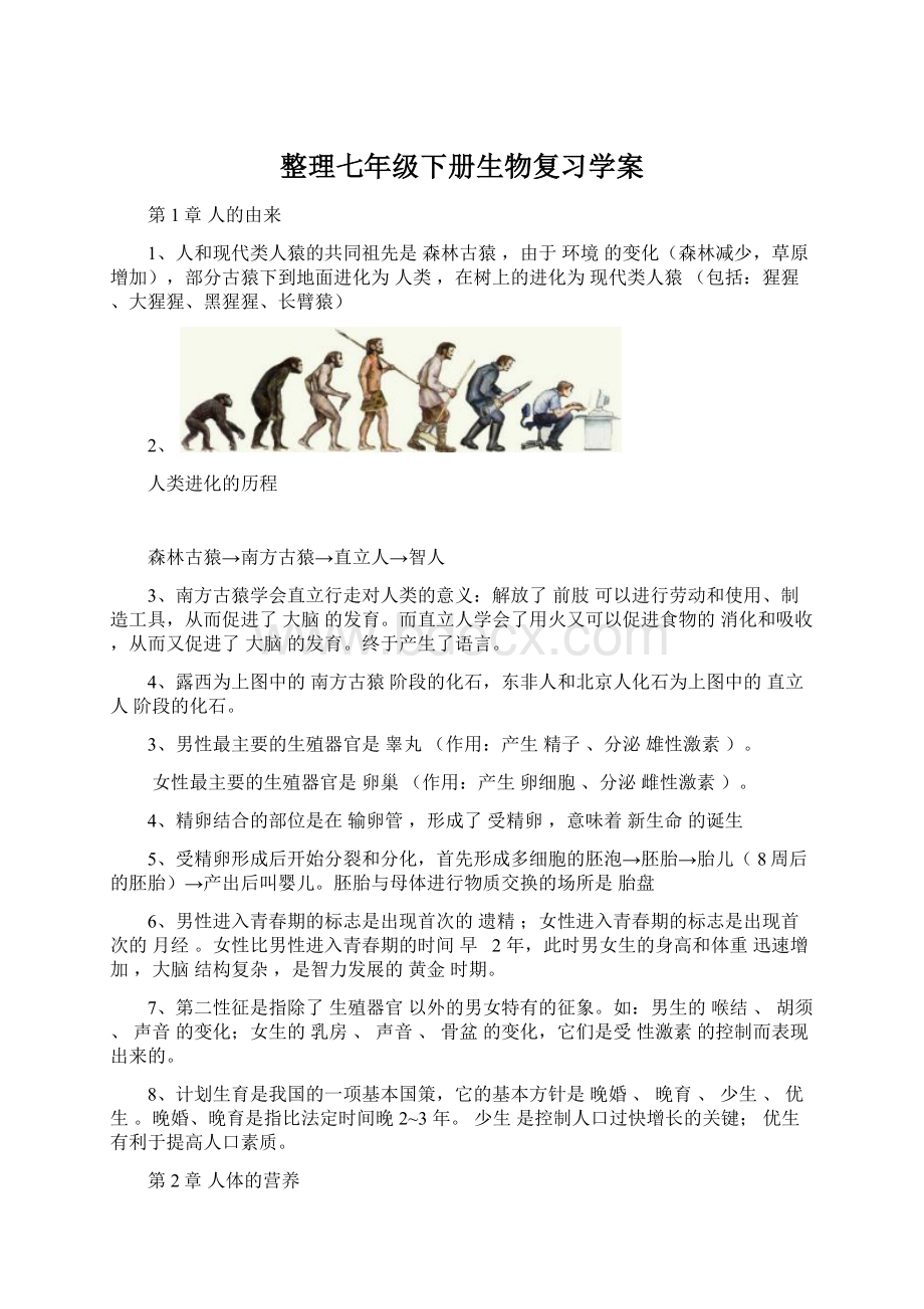 整理七年级下册生物复习学案Word文档下载推荐.docx