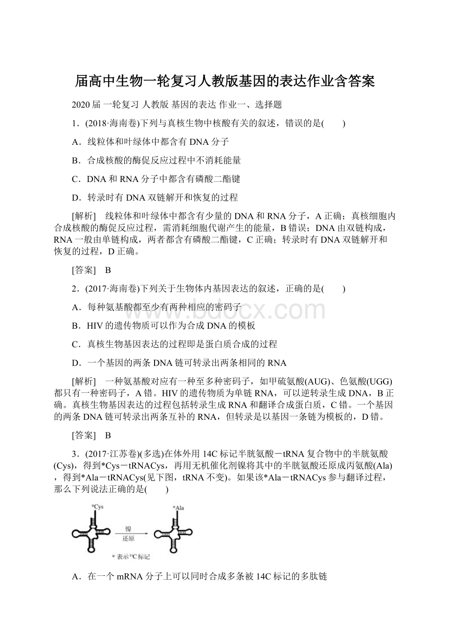 届高中生物一轮复习人教版基因的表达作业含答案.docx