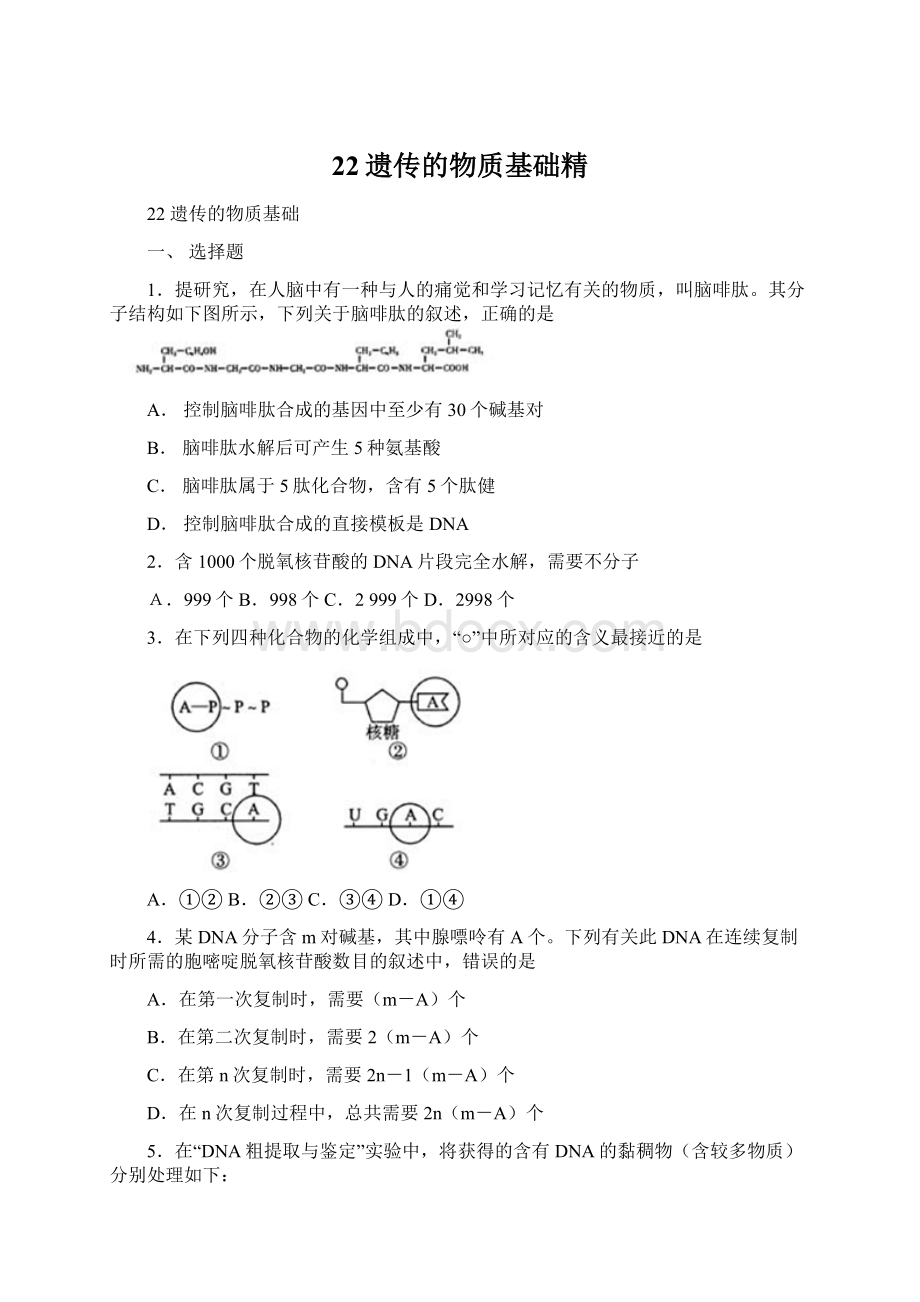 22遗传的物质基础精.docx