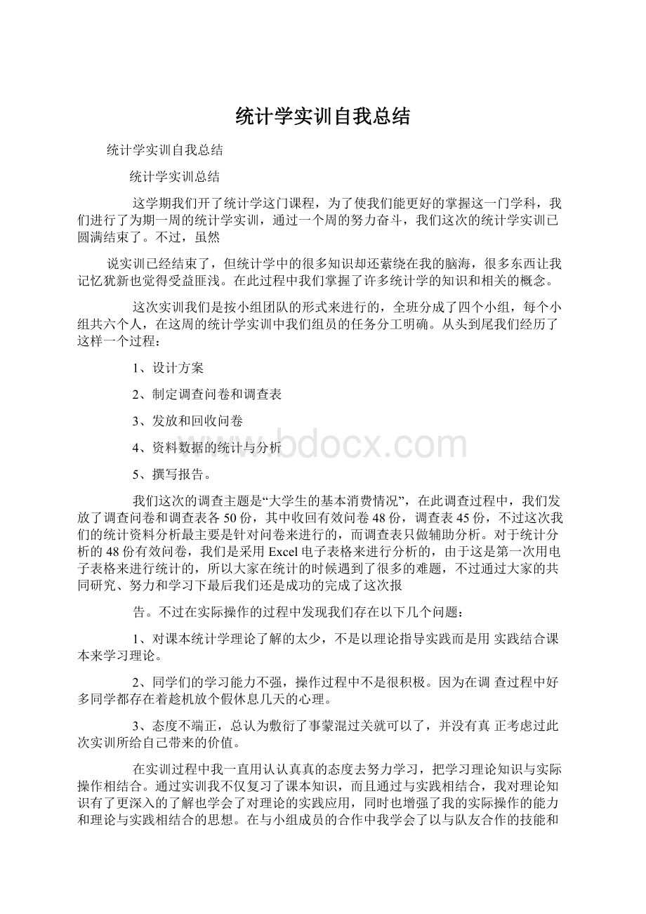 统计学实训自我总结文档格式.docx