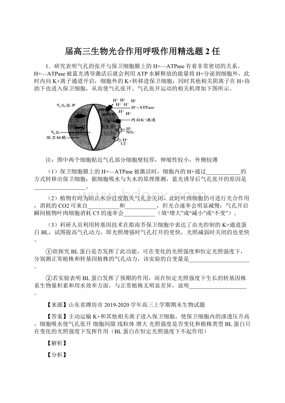 届高三生物光合作用呼吸作用精选题2任.docx