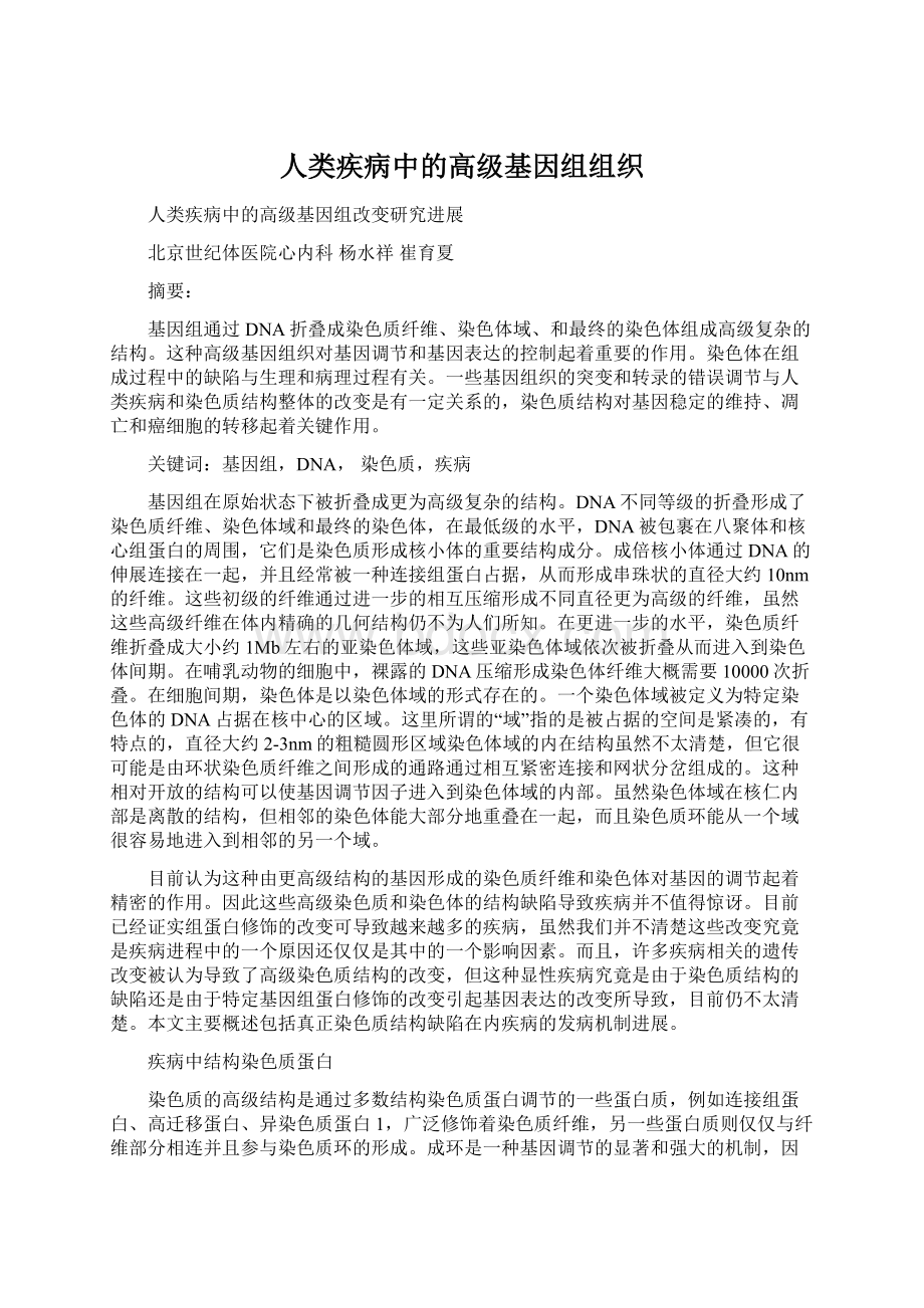 人类疾病中的高级基因组组织Word下载.docx