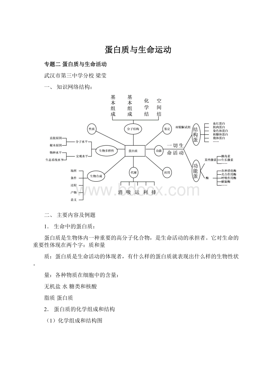 蛋白质与生命运动Word文档下载推荐.docx_第1页