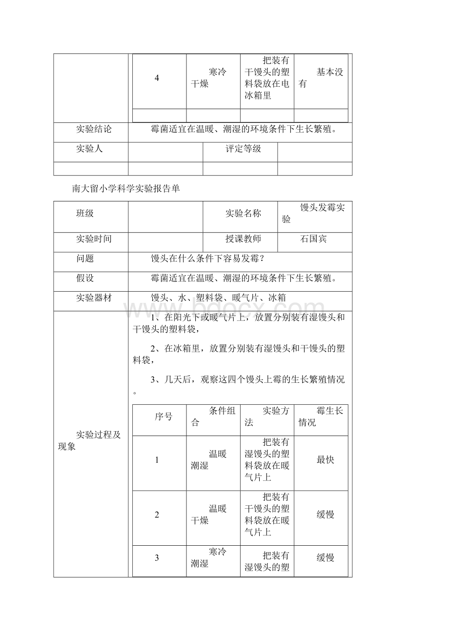 南大留小学六年级科学上册实验报告单集Word文档格式.docx_第3页