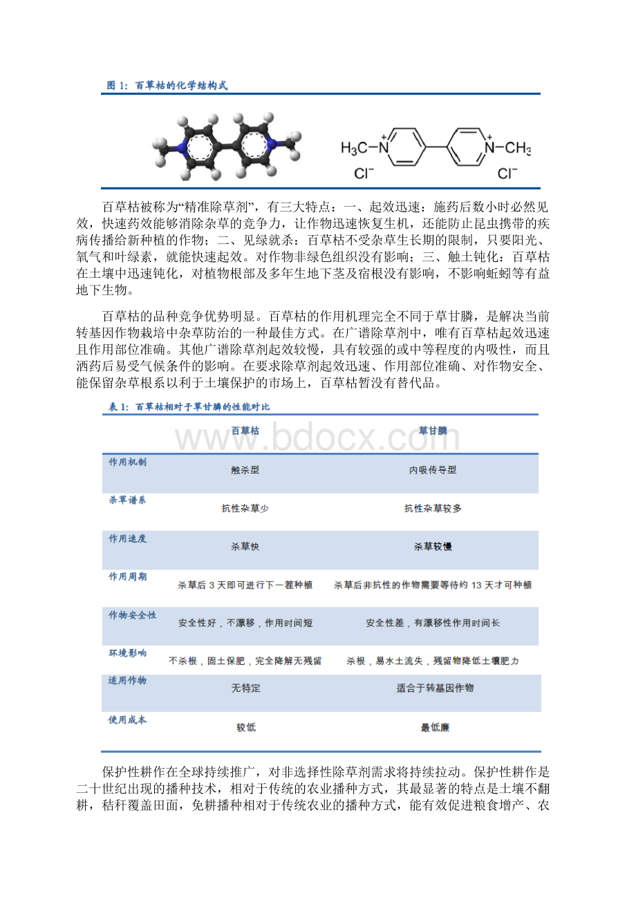 百草枯行业分析报告.docx_第2页