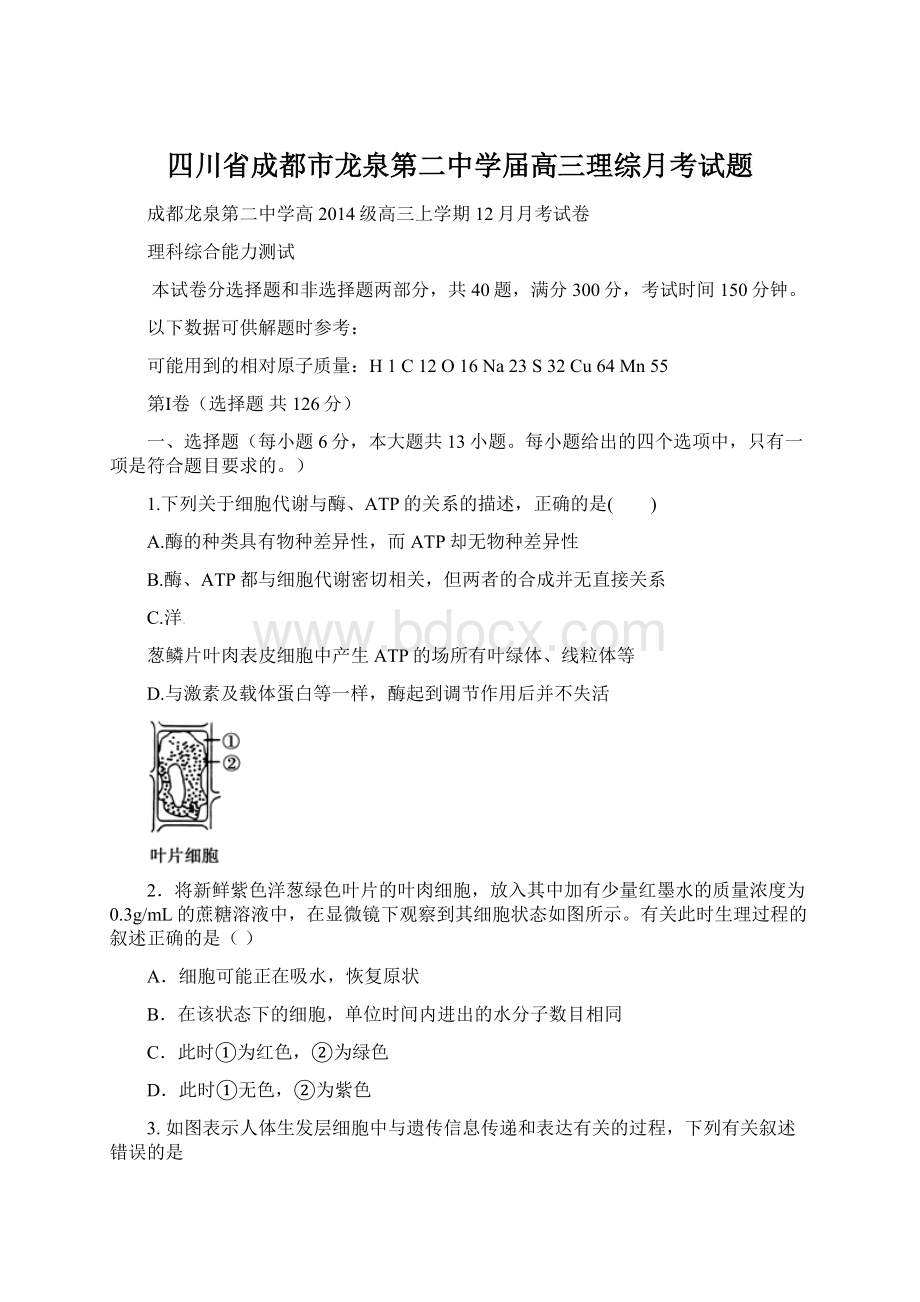 四川省成都市龙泉第二中学届高三理综月考试题Word格式文档下载.docx_第1页