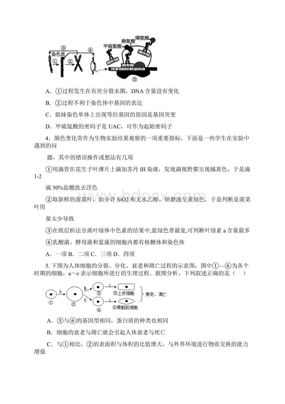 四川省成都市龙泉第二中学届高三理综月考试题Word格式文档下载.docx_第2页