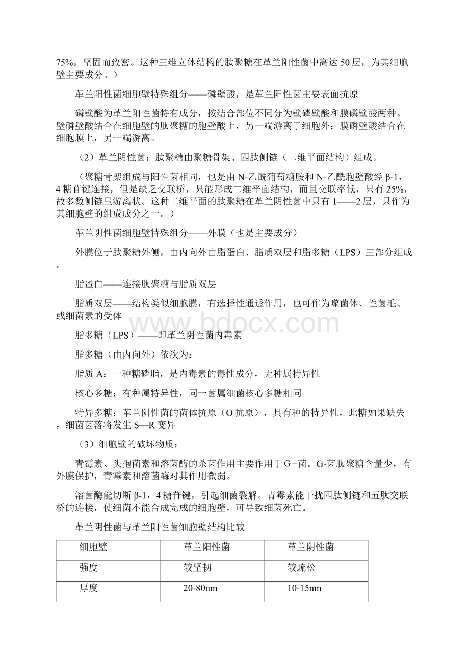 细菌病毒总论Word文档格式.docx_第3页