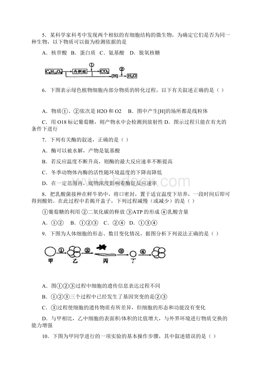 山东省莱州一中届高三第一次质量检测生物试题文档格式.docx_第2页