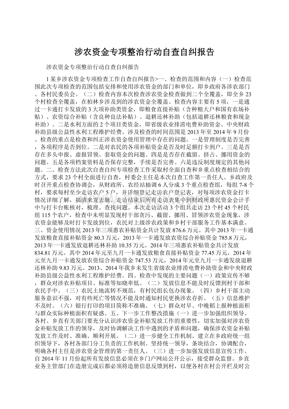 涉农资金专项整治行动自查自纠报告.docx