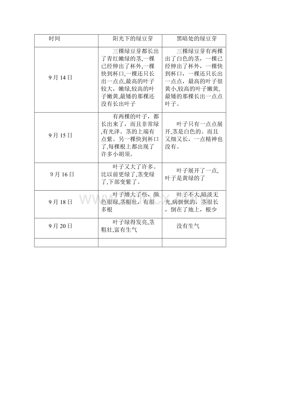 绿豆芽的生长实验报告.docx_第3页