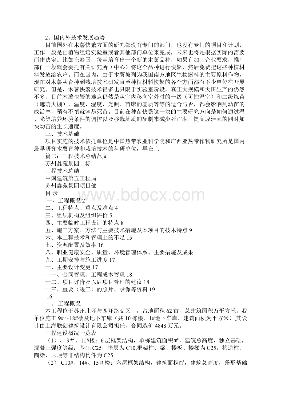 项目技术总结报告Word格式文档下载.docx_第3页