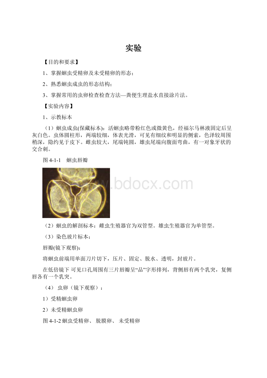 实验Word文档格式.docx