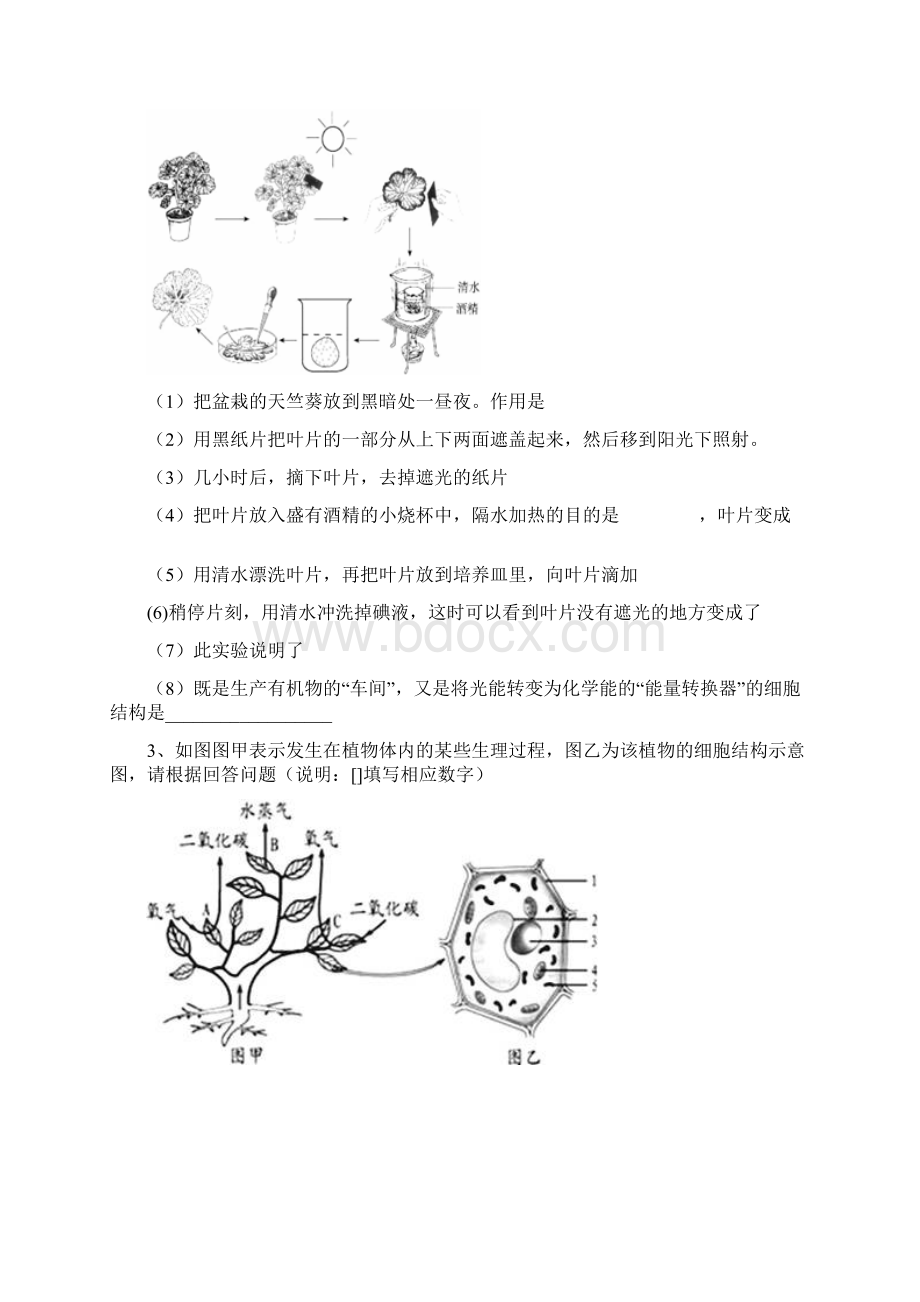 中考植物光合作用呼吸作用实验探究专题Word文件下载.docx_第2页