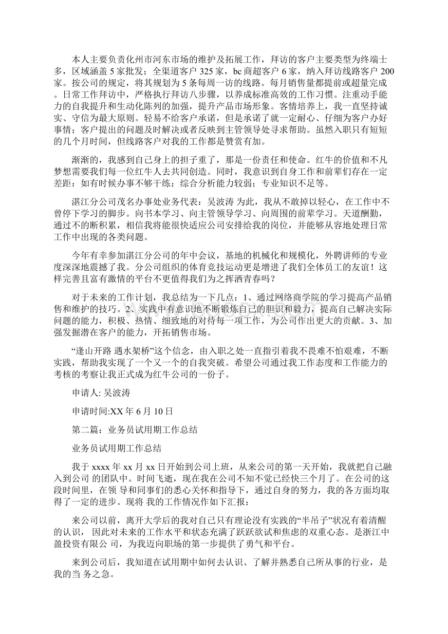 业务员试用期工作总结文档格式.docx_第2页