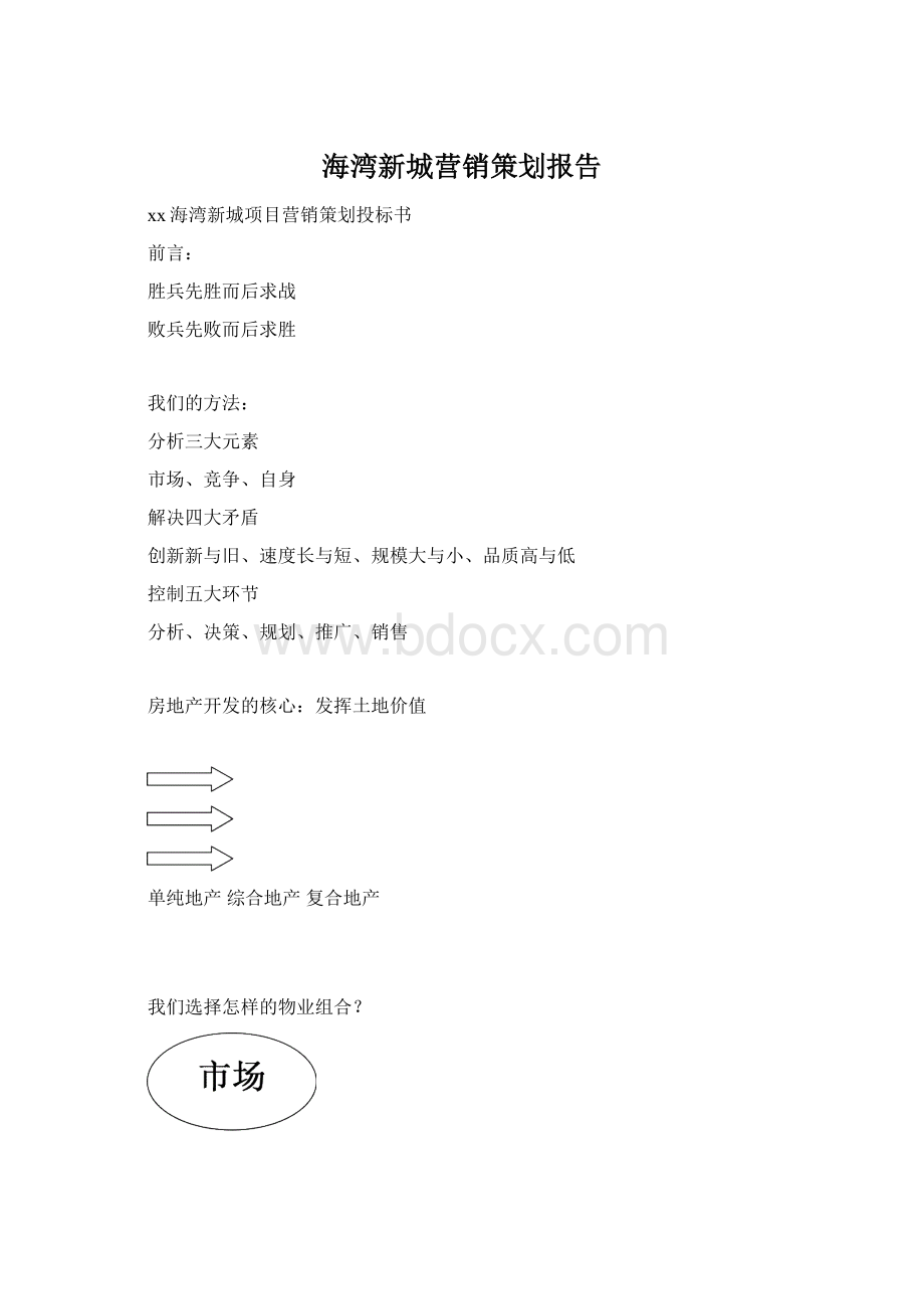 海湾新城营销策划报告.docx_第1页