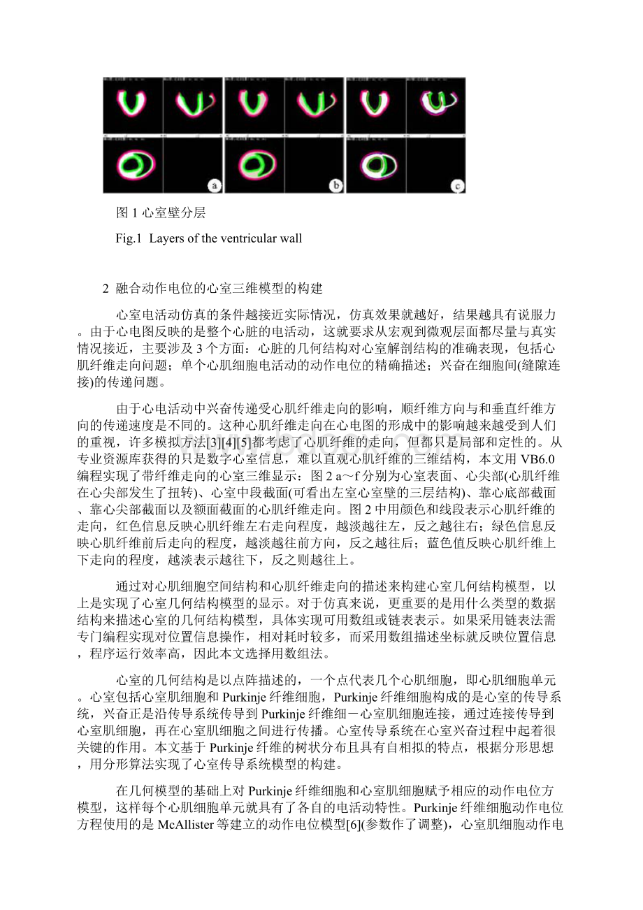 基于解剖结构和动作电位的心室电活动仿真方法Word格式.docx_第3页