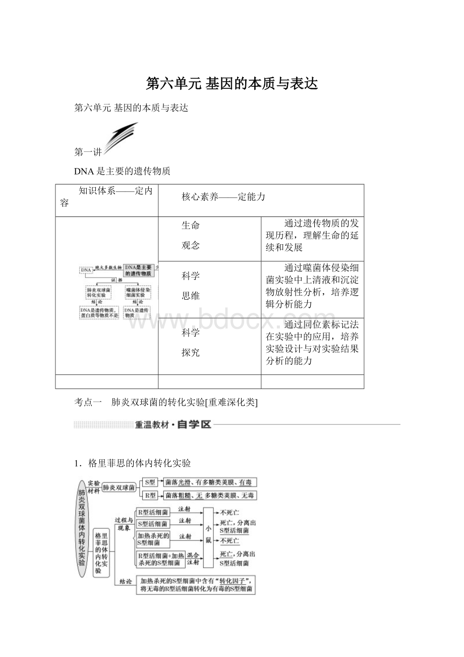 第六单元基因的本质与表达.docx_第1页