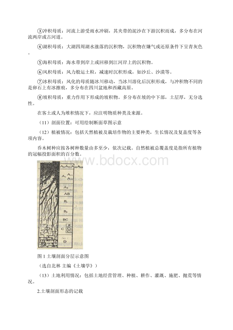 实习土壤剖面的观察与记载32356.docx_第3页