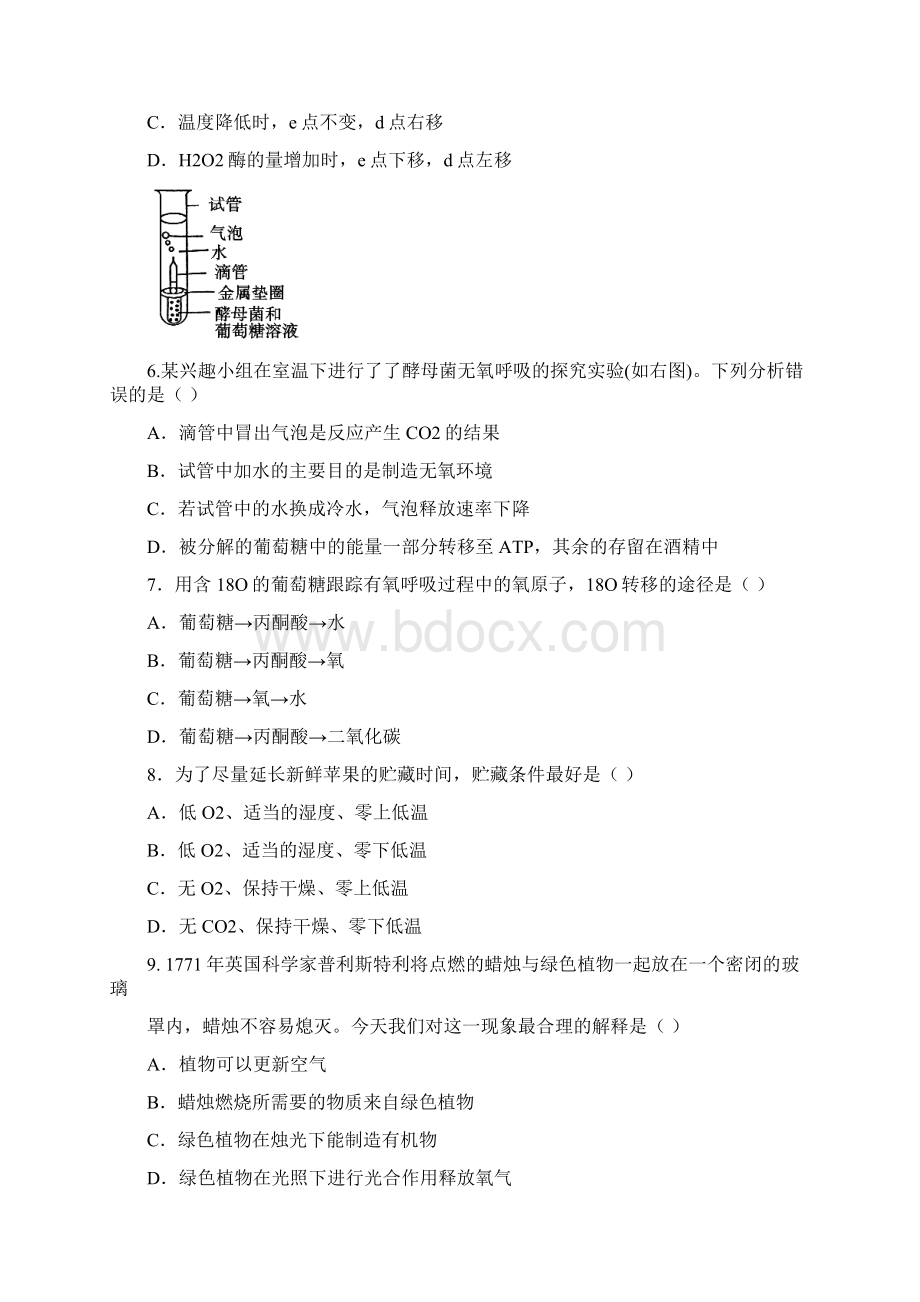 安徽省安庆市学年高一生物下册期中考试题.docx_第2页