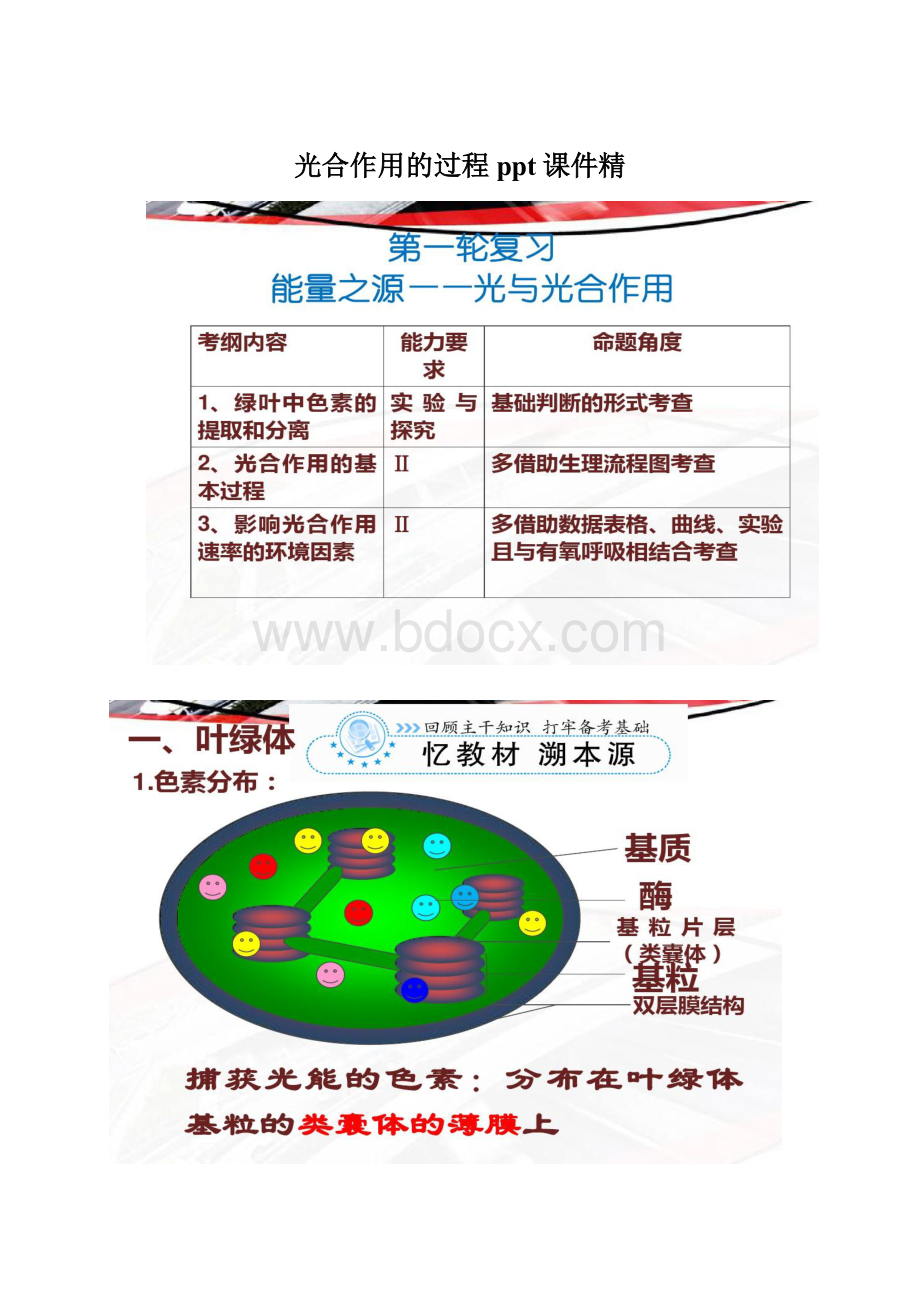 光合作用的过程ppt课件精Word格式.docx_第1页