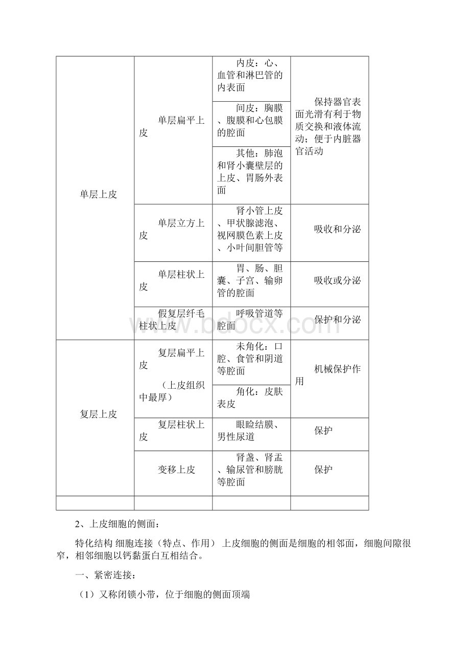 组织学与胚胎学速记.docx_第2页