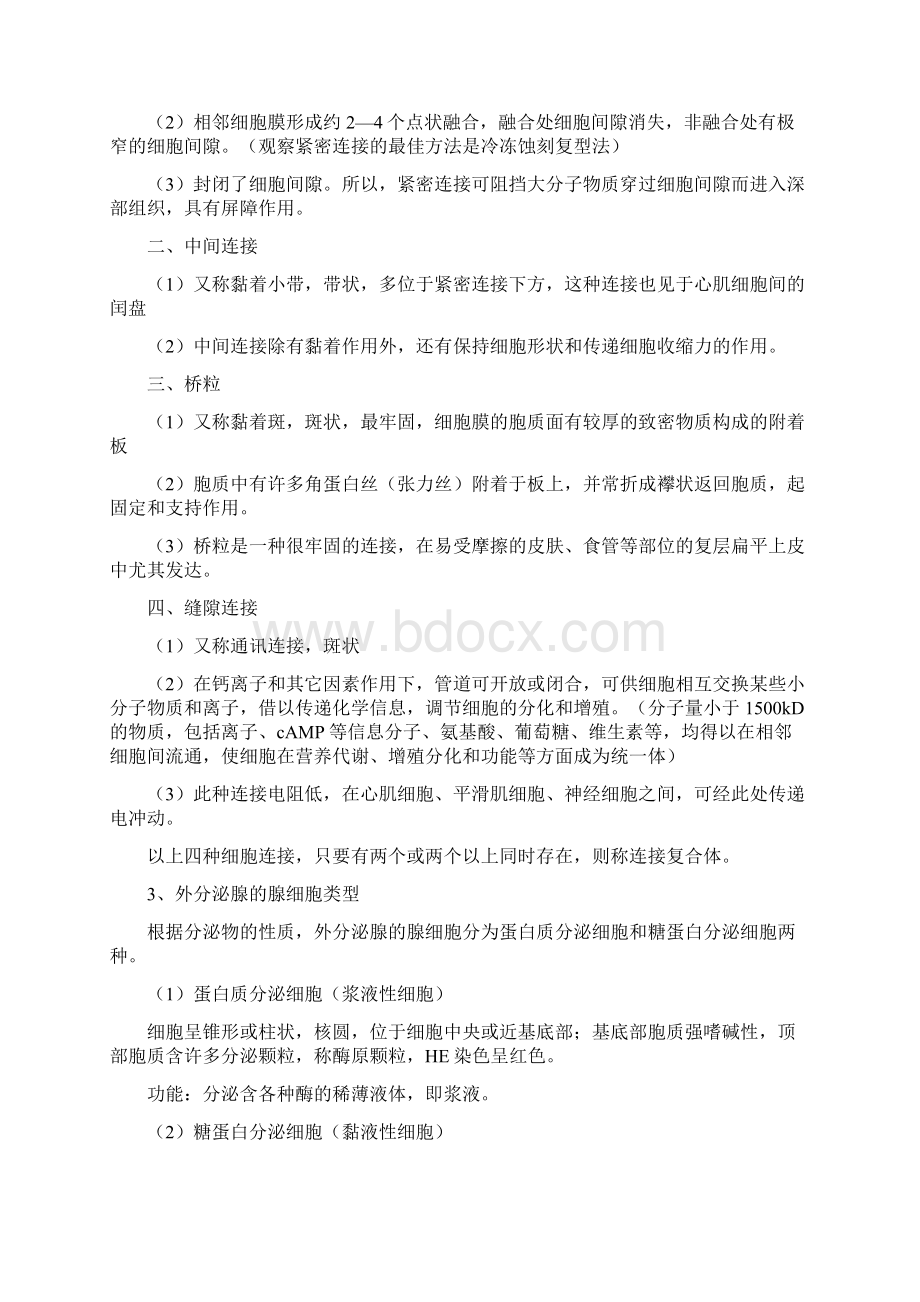 组织学与胚胎学速记Word文档格式.docx_第3页