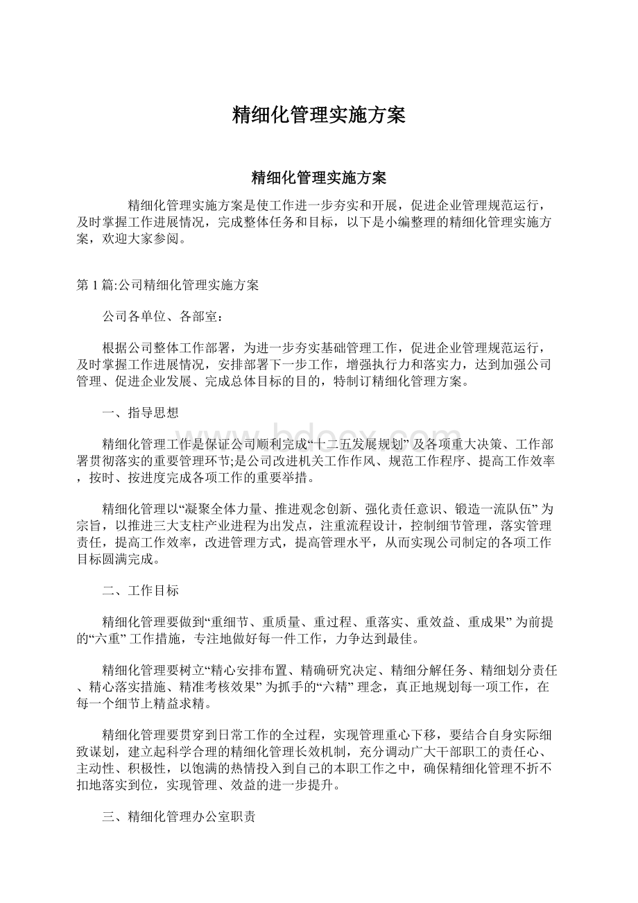 精细化管理实施方案.docx_第1页