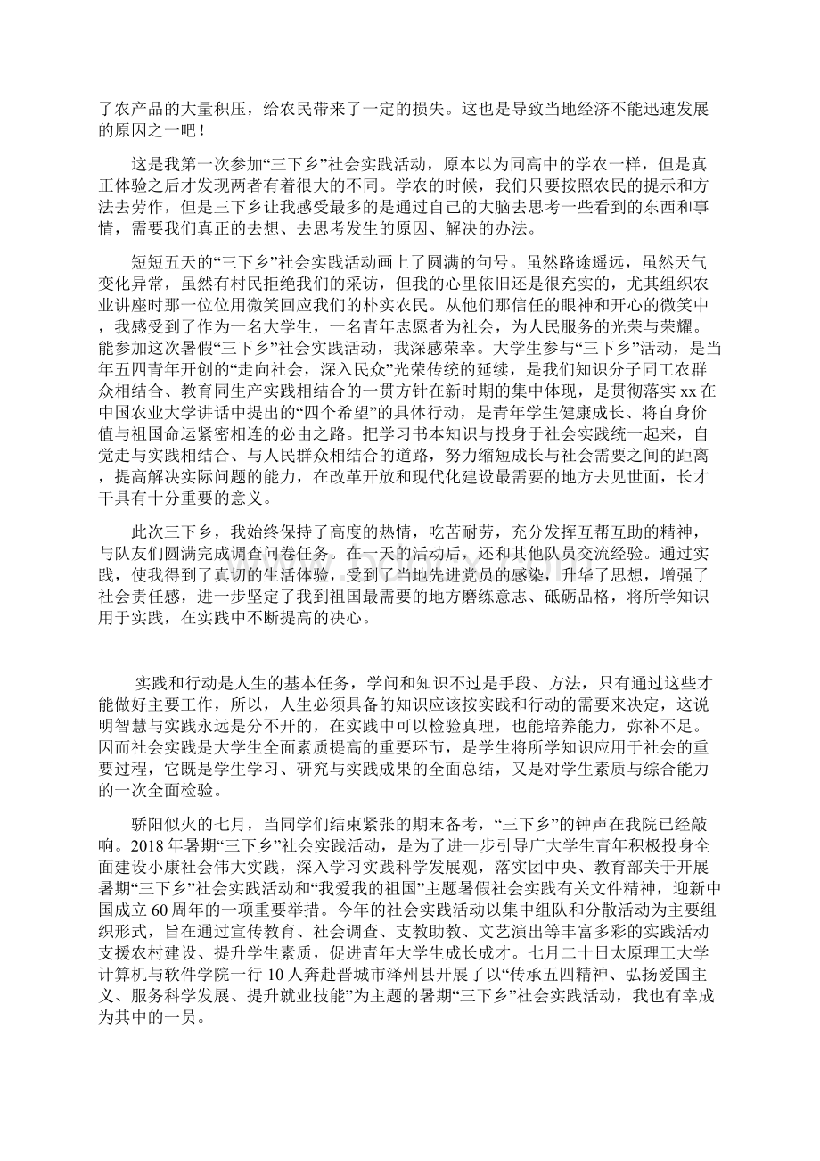 暑期三下乡个人总结Word格式.docx_第2页